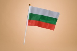 ЗНАМЕ, национален флаг на България 21х14 см. с пластмасова дръжка (50 бр. в стек 2500 бр. в кашон)(Промоция- при покупка над 300 бр. базова цена 0,15 лв.)