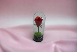 вечно живо цвете в стъкленица, роза, червена и розова 12х5 см.