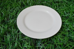керамично изделие, чиния, правоъгълна 20 см. пера (60 бр. в кашон)