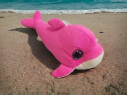 плюшена играчка, делфин със съклени 25 см.