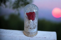 стъклени бурканчета 7х2,2 см. с брокатни розички 12 бр. стекче 6 червени 3 розови 3 лилави