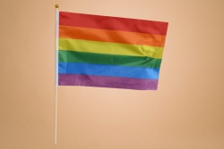 знаме, гей обеществото, качествен полиестер 30х45 см. с дървена дръжка (50 бр. в стек)