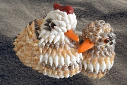 морски сувенир, ръчно изработен от миди, кокошка и петел 22х15 см.
