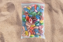 сувенир от естествен материал, морски миди, модел убиец, цветни, шарени 1,6 до 1,8 см.(100 бр. в торба)