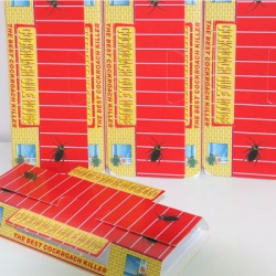 БОРБА с насекомите, тебешир против мравки и хлебарки в кутия (50 бр. в кутия)(Промоция- при покупка над 150 бр. базова цена 0,27 лв.)