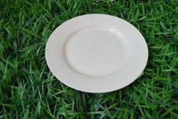 керамично изделие, чиния, правоъгълна 23 см. пера (60 бр. в кашон)