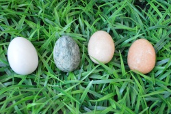 изделие от естествен благороден камък, яйце  4 разцветки 4,5 см.