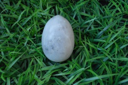 изделие от естествен благороден камък, яйце  300 гр. 8,5 см.
