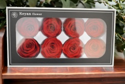 ВЕЧНО жива роза в стъкленица 12х25 см. (Промоция- при покупка над 4 бр. базова цена 22,50 лв.)