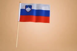 знаме Естония, качествен полиестер 14х21 см. с дървена дръжка (50 бр. в стек)