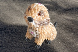 плажна играчка, фризби E.V.A куче