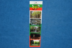 МОРСКИ сувенир, магнит- жабка 4 магнитни крайника Primorsko BULGARIA 15 см.(12 бр. в стек)(Промоция- при покупка над 48 бр. базова цена 1,29 лв.)(R1)
