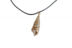 морски естествен сувенир, миди Hemp shell P.V.C. кутия 100 гр. 15,5x9 см. (R3)