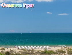 сувенир, магнитнa пластикa SUNNY BEACH IVANA PALACE двуизмерен 8,5х5,5 см. (R4)